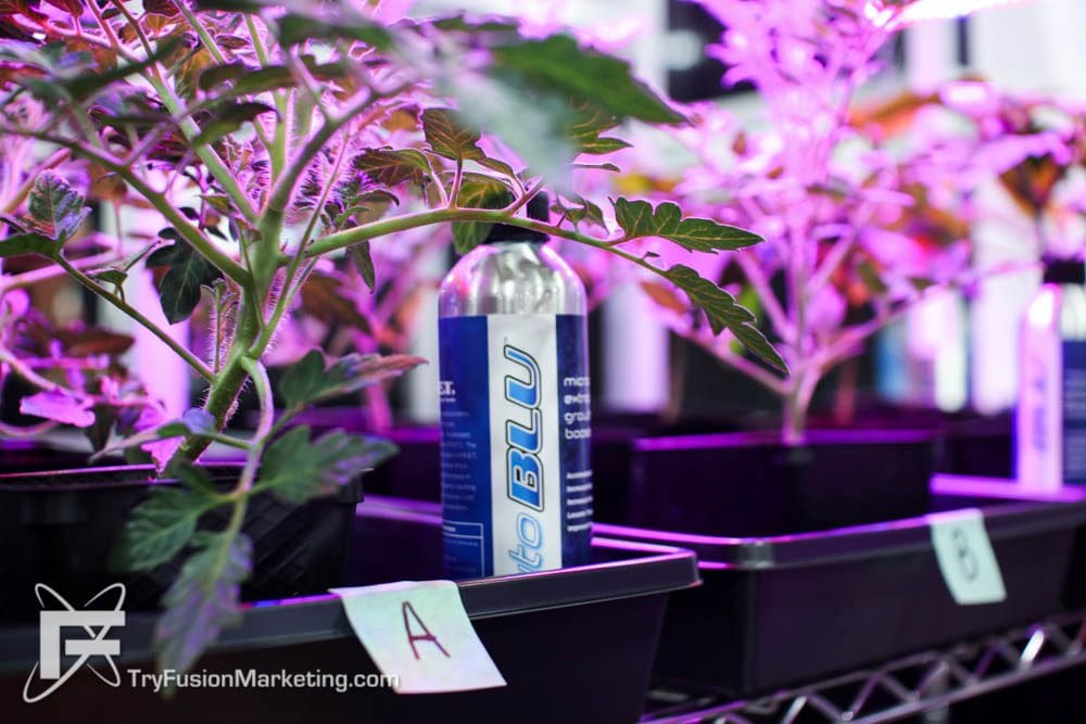 CannaCon Detroit 2018