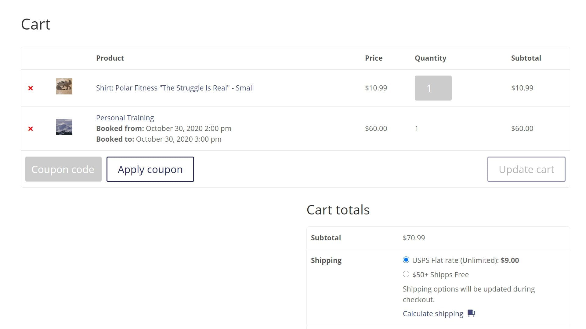 Polar Fitness eCommerce Store Cart
