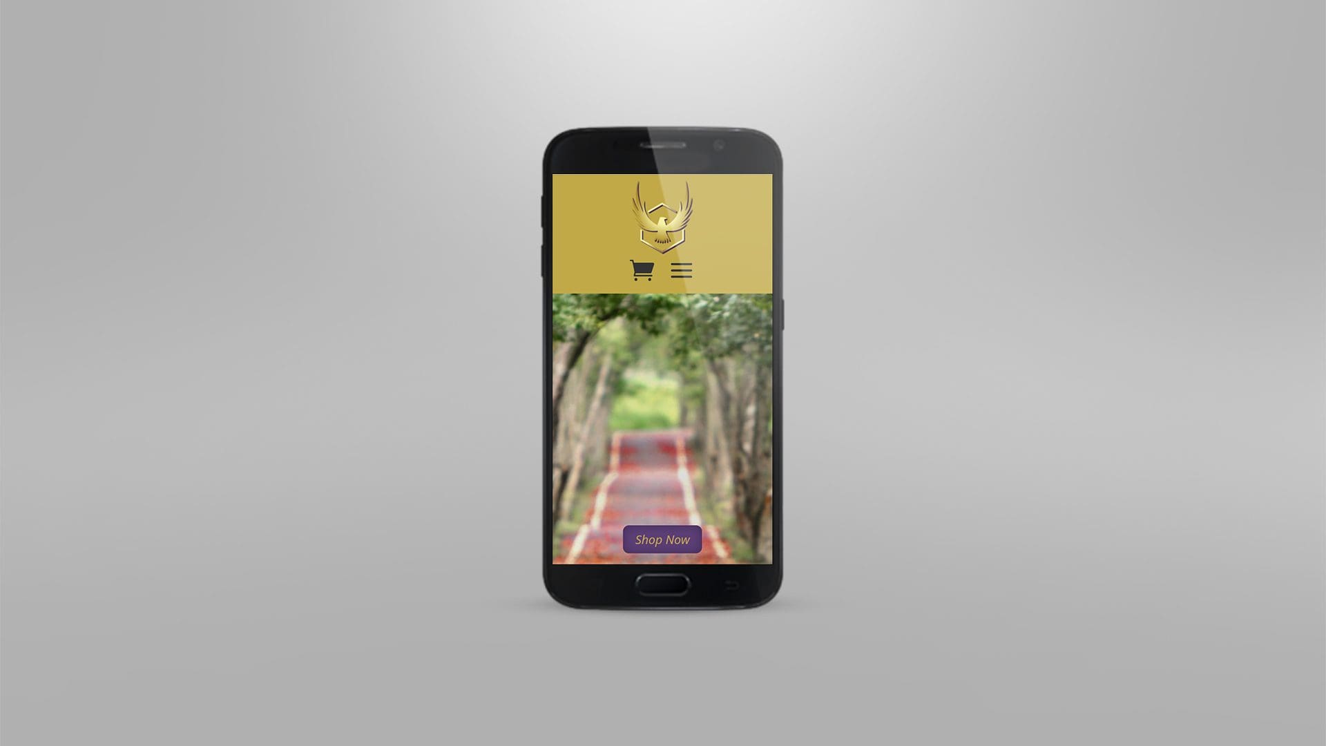 Health and Wellness Website (1)