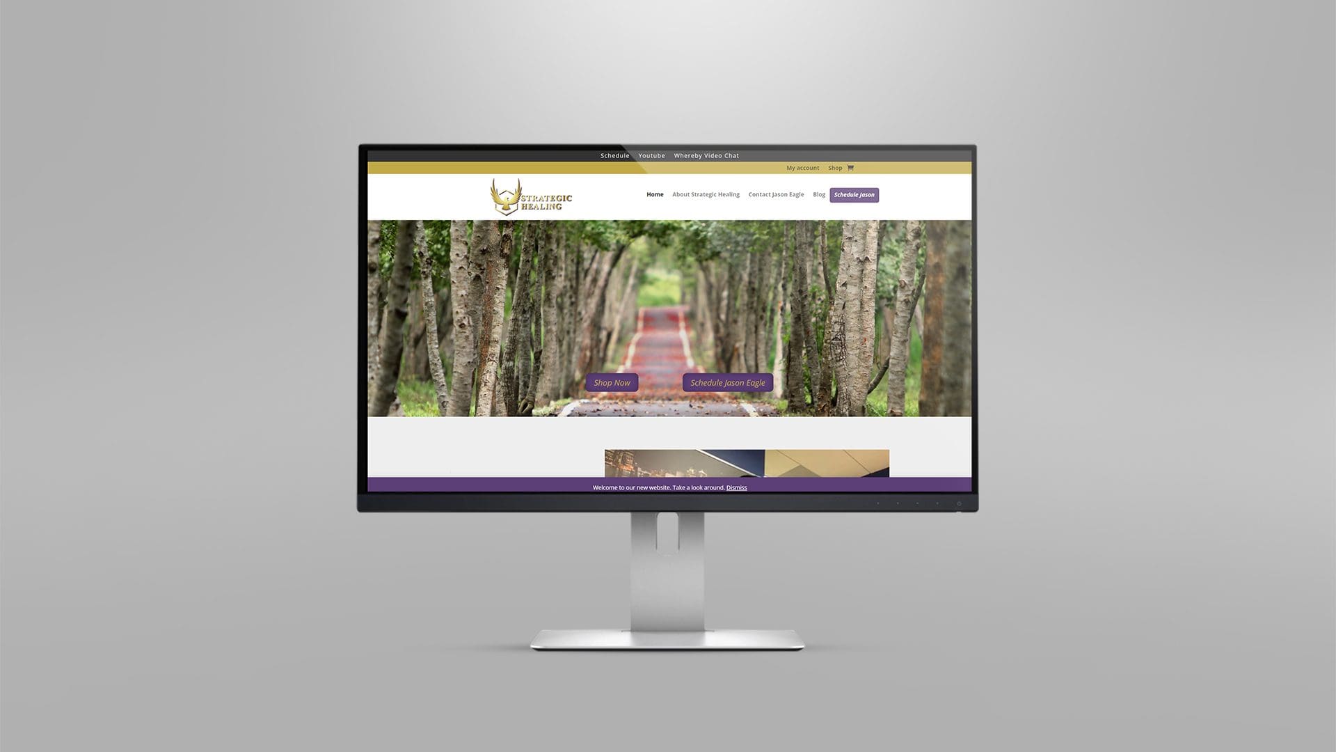 Health and Wellness Website (2)