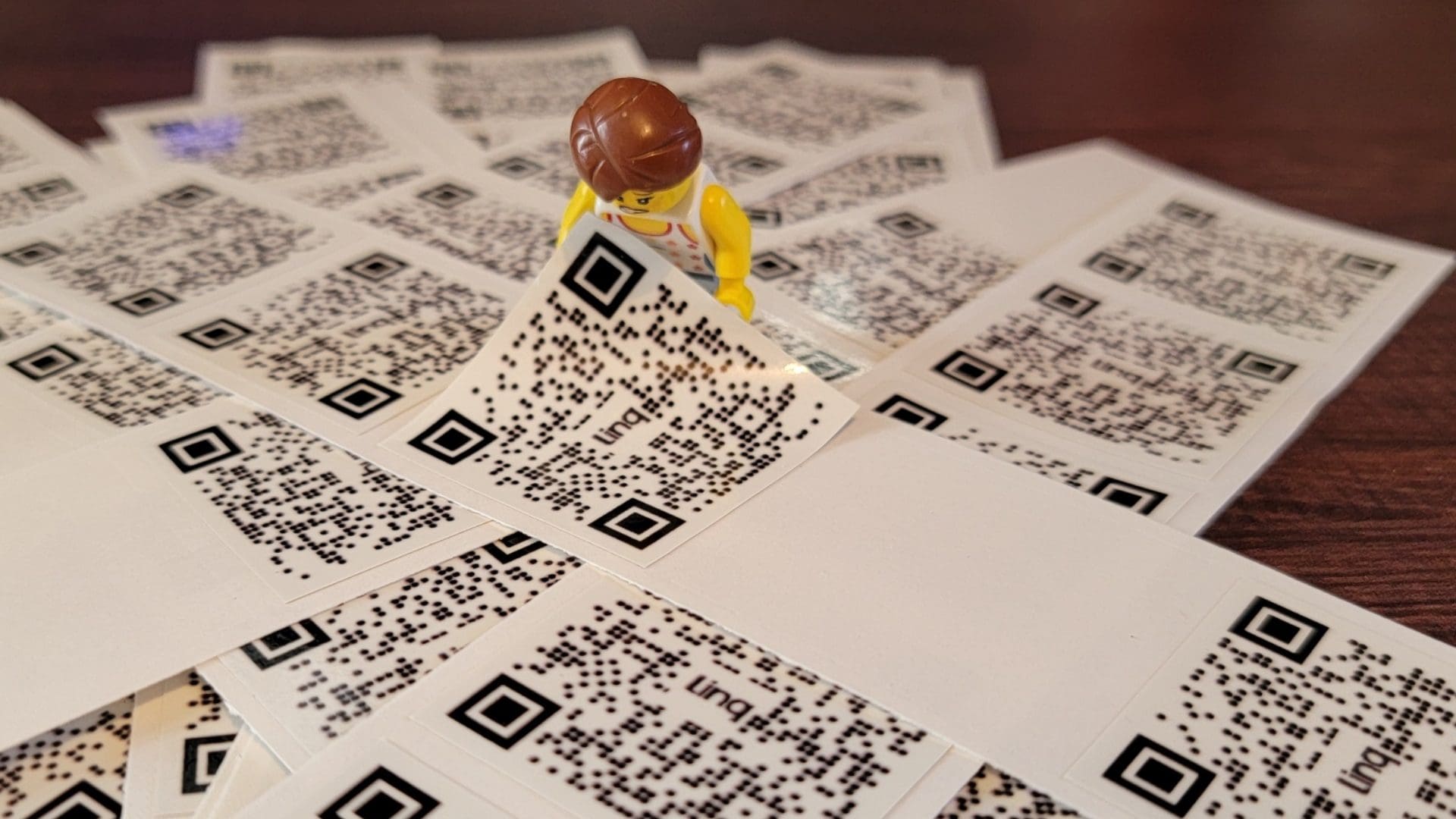 Custom Printed Linq QR Codes 1