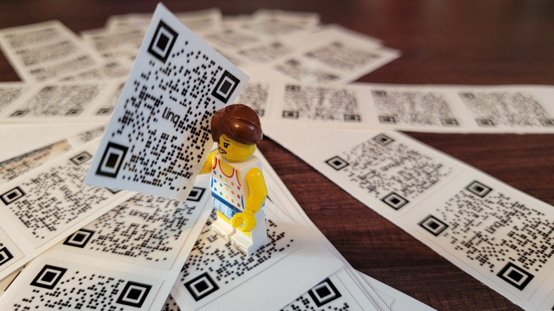 Custom Printed Linq QR Codes 2