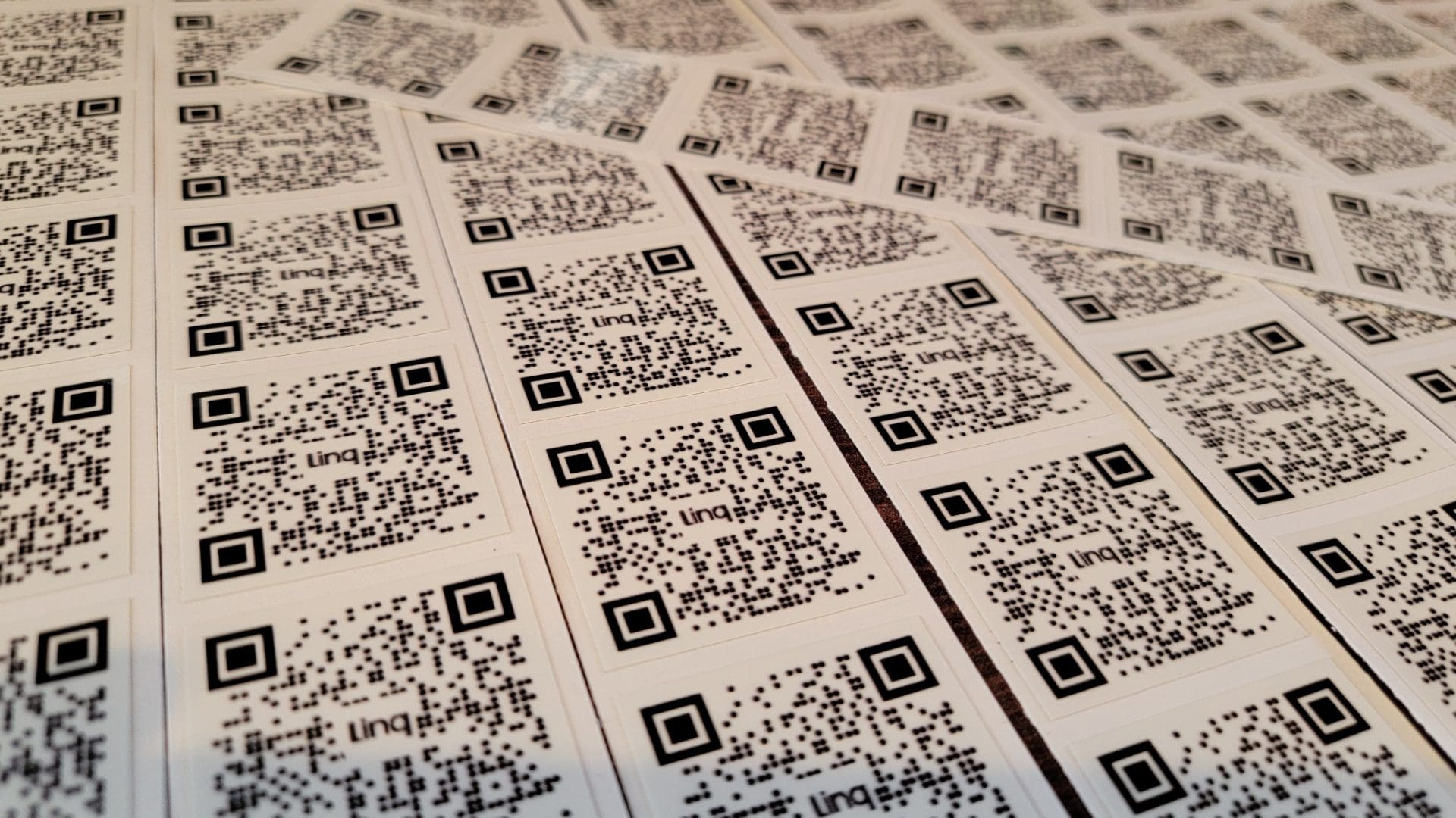 Custom Printed Linq QR Codes 6