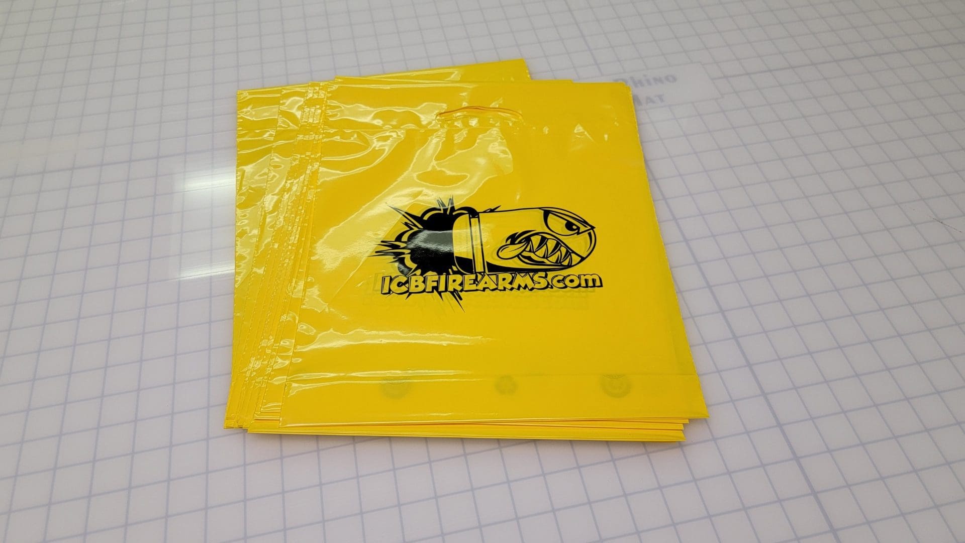 Promotional Expo Bags 1