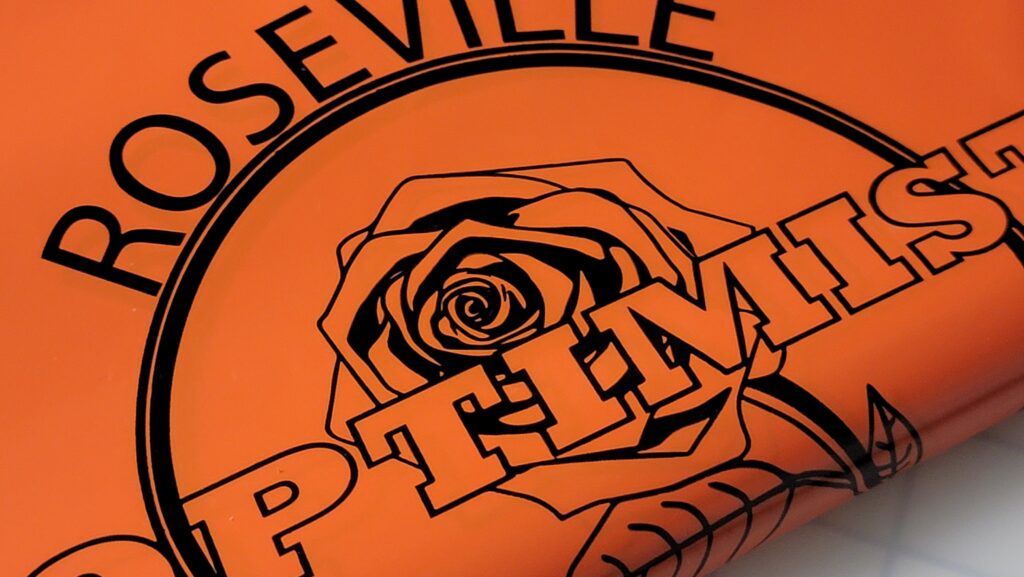 Custom Logo Expo Bags 2