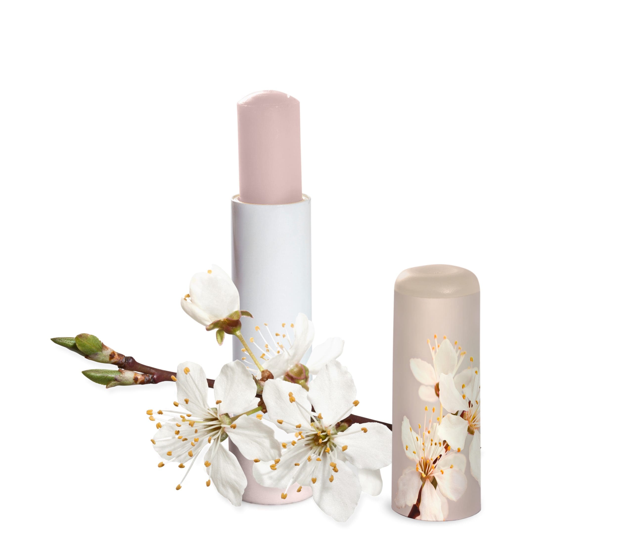 Fusion Marketing Harness the Power of Custom Lip Balm Tubes to Elevate Your Promotional Branding Pretty Packaging Fusion Marketing Harness the Power of Custom Lip Balm Tubes to Elevate Your Promotional Branding Pretty Packaging
