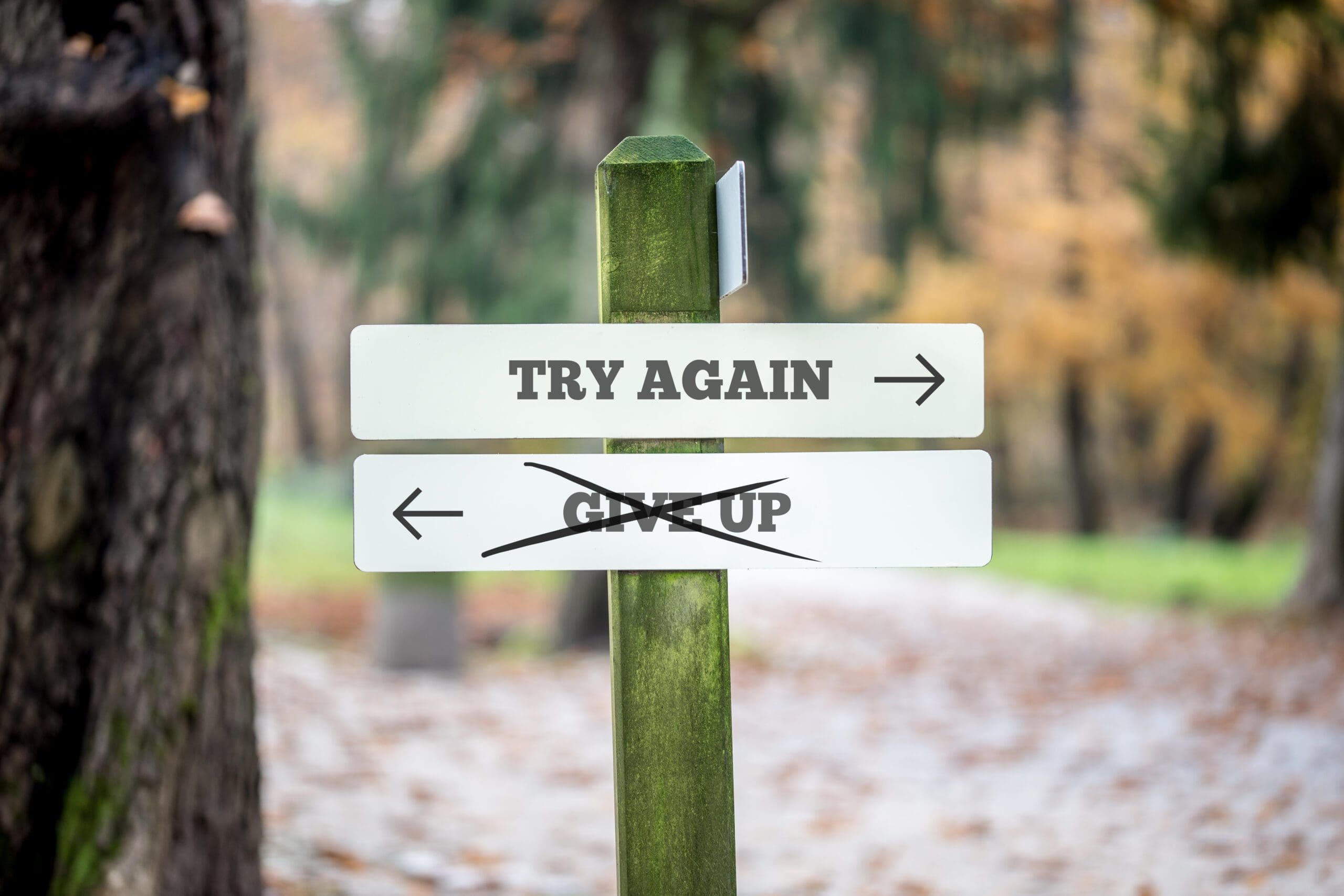 Signboard with two signs saying Try again Give up pointing Signboard with two signs saying Try again Give up pointing