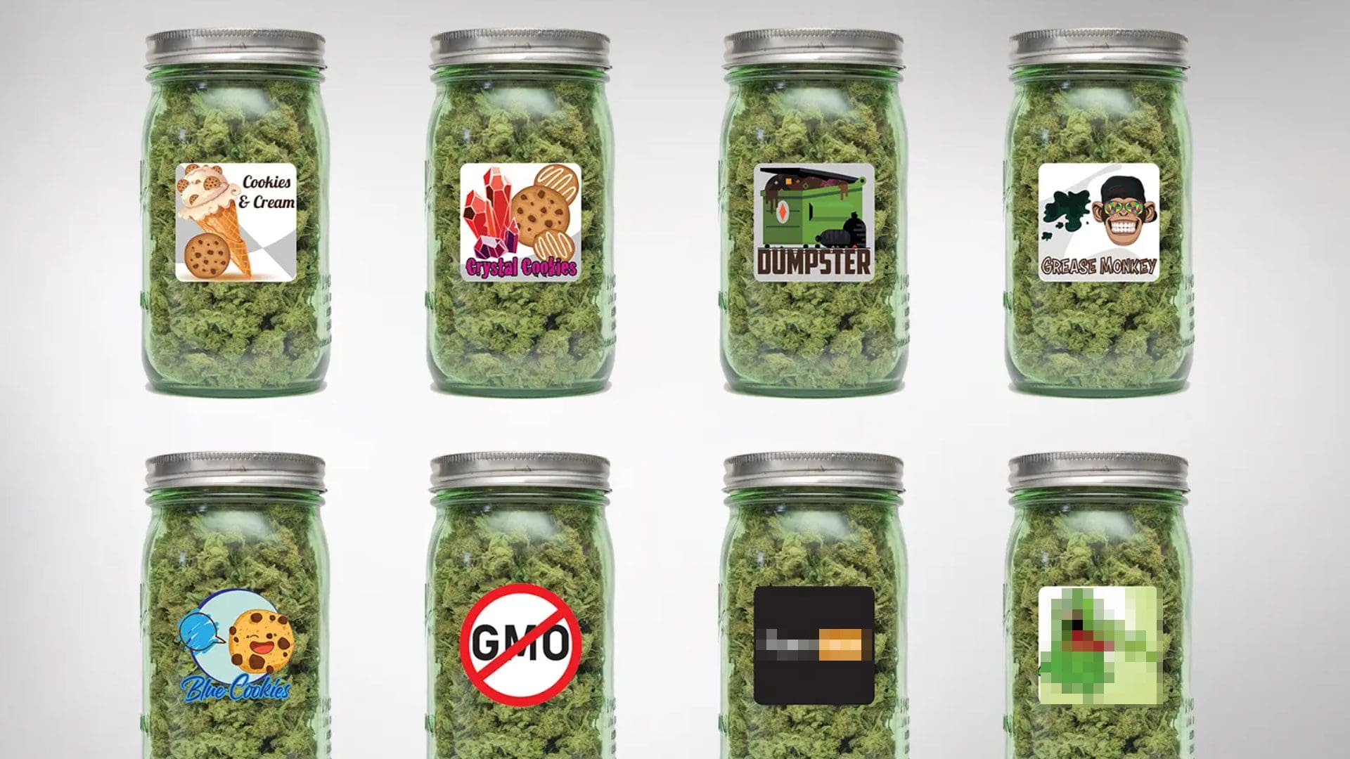 Cannabis Cup Printing