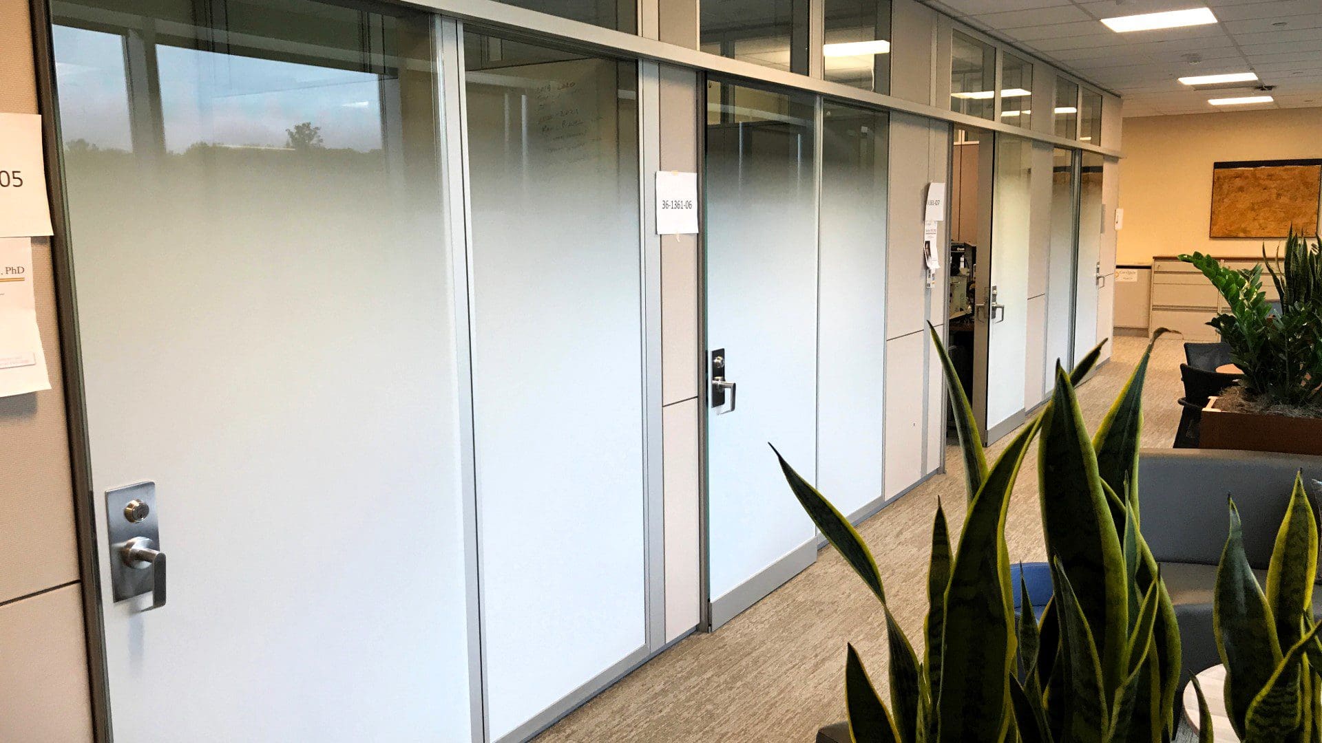 UofM Pathology Department Gradient Graphics 04