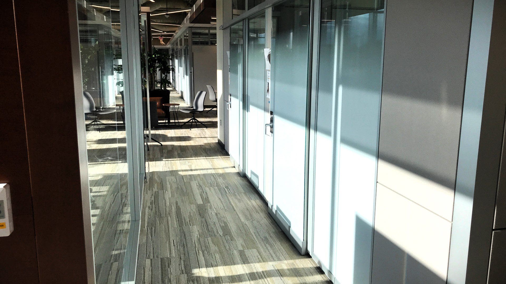 UofM Pathology Department Gradient Graphics 06