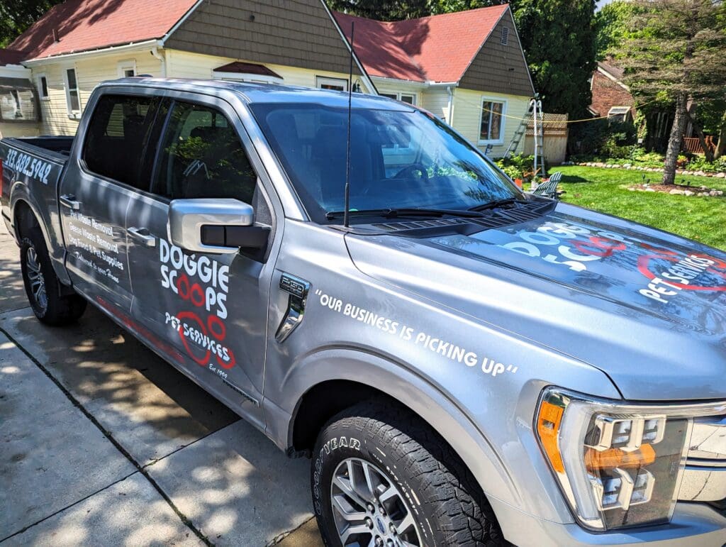 Calandered 1 Calandered 1