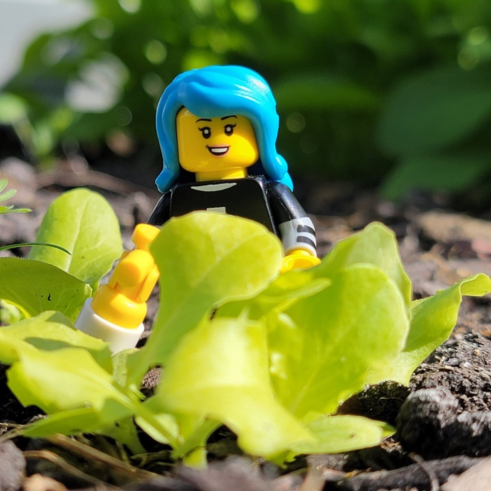 LEGO Garden