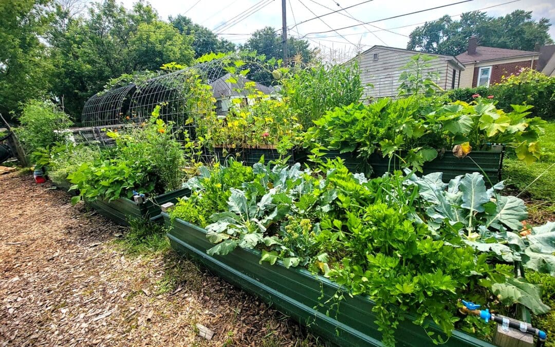 Urban Farm Logo Design: Why Your Agricultural Branding Deserves Better Than Templates