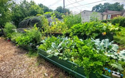 Urban Farm Logo Design: Why Your Agricultural Branding Deserves Better Than Templates