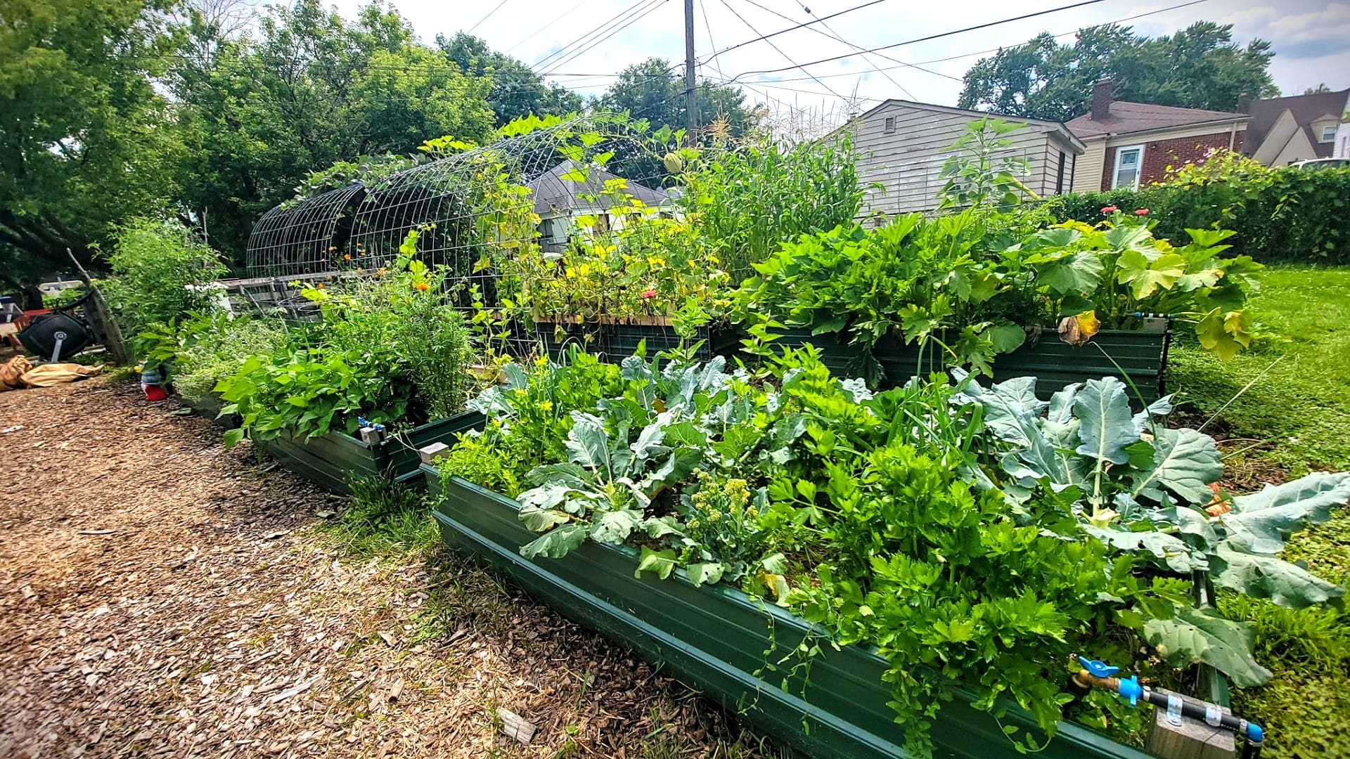Fusion Marketing Fertile Ground Cultivating an Urban Farm Logo That Bears Fruit Feature Eastpointe Community Garden