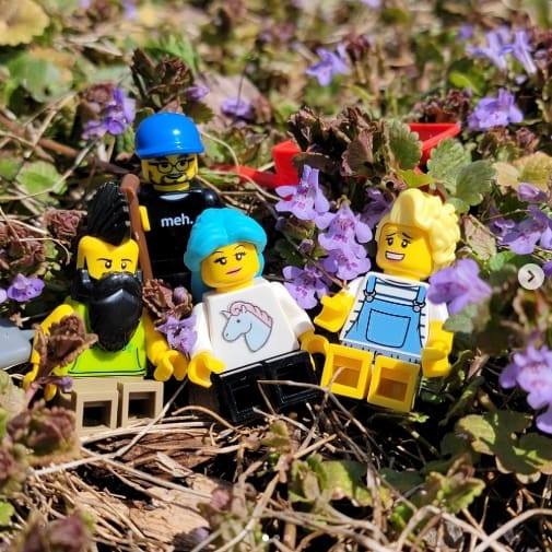 Fusions Lego team Fusions Lego team