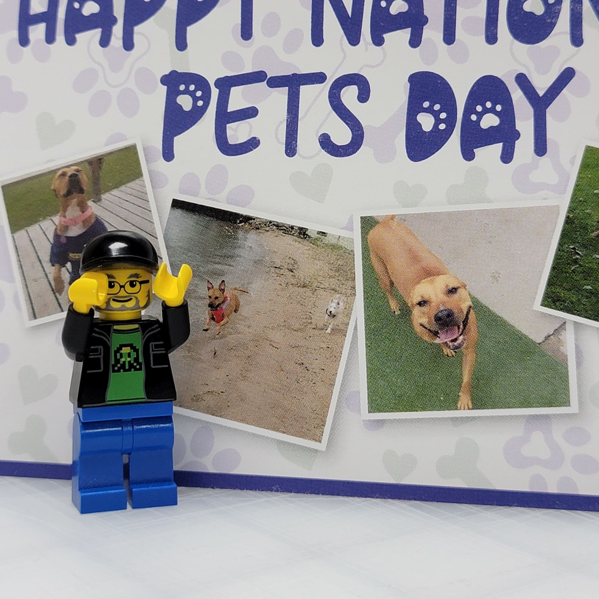 national pets day