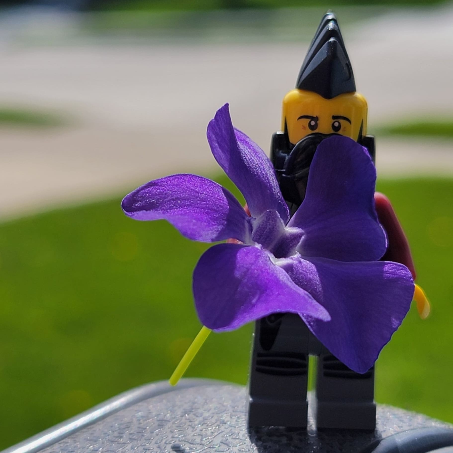 Lego John with a purple flower