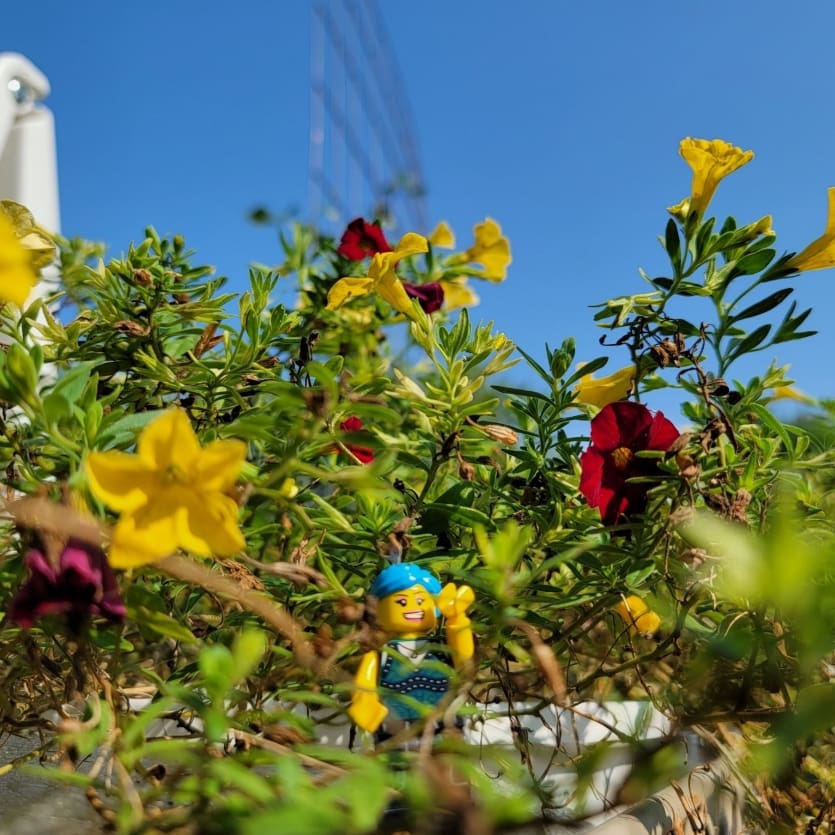 Lego Shay in the flowers